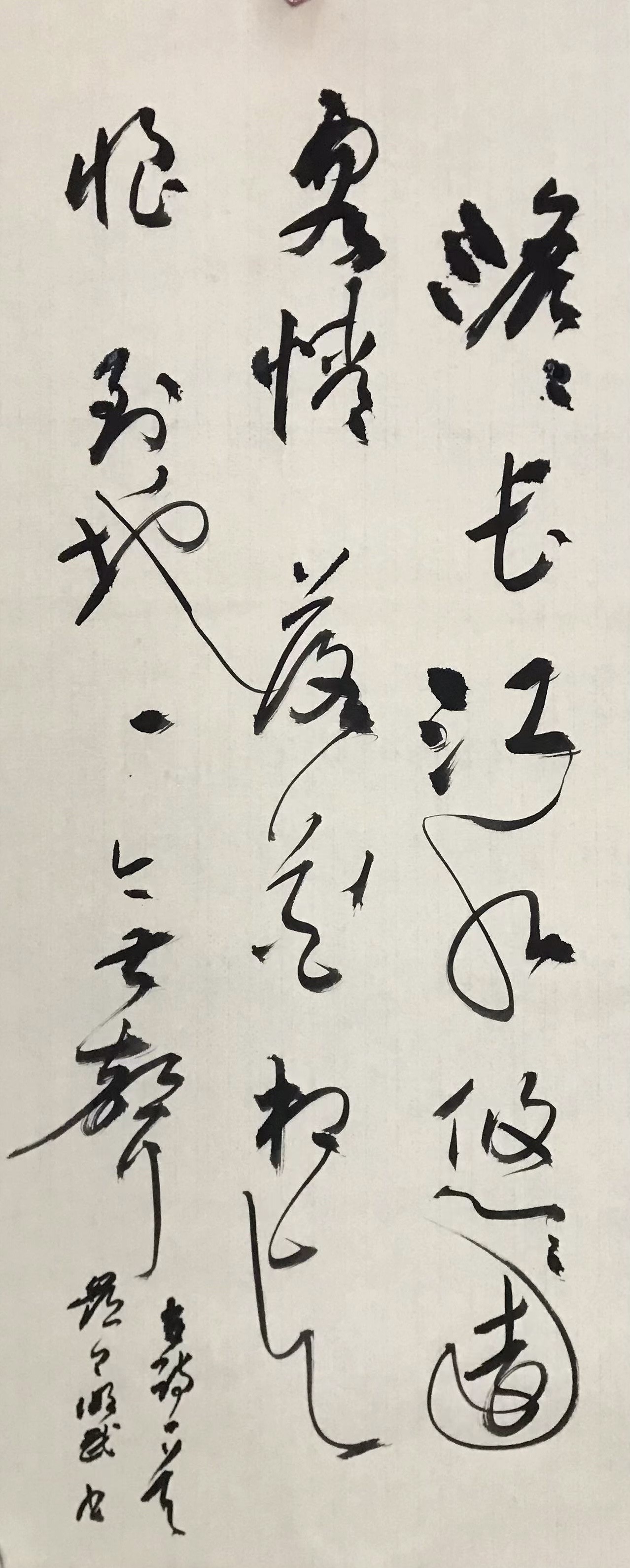 澹澹长江水，悠悠远客情。落花相与恨，到地一无声。