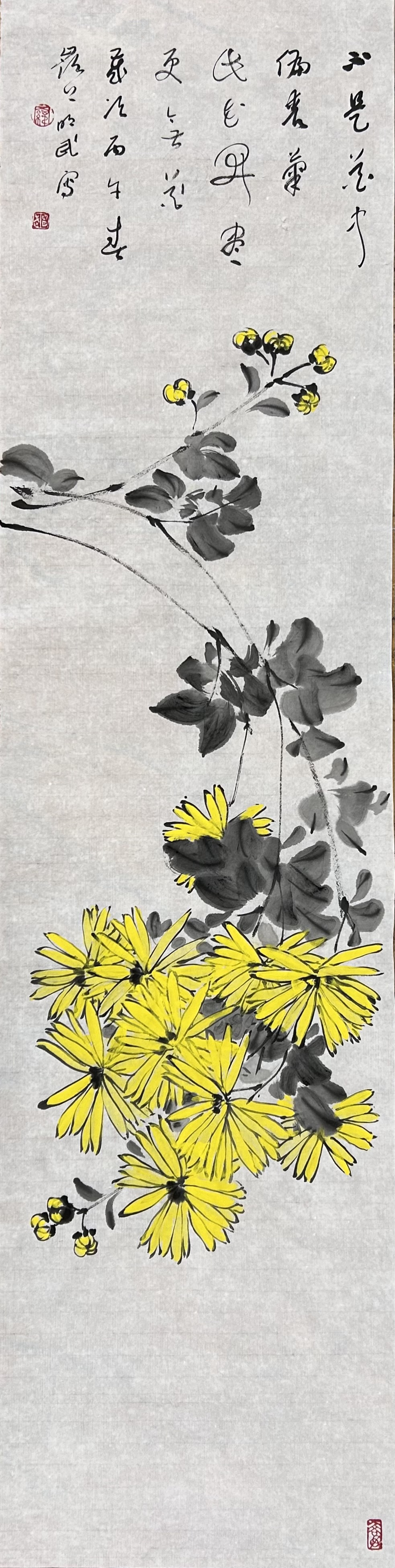 菊花图