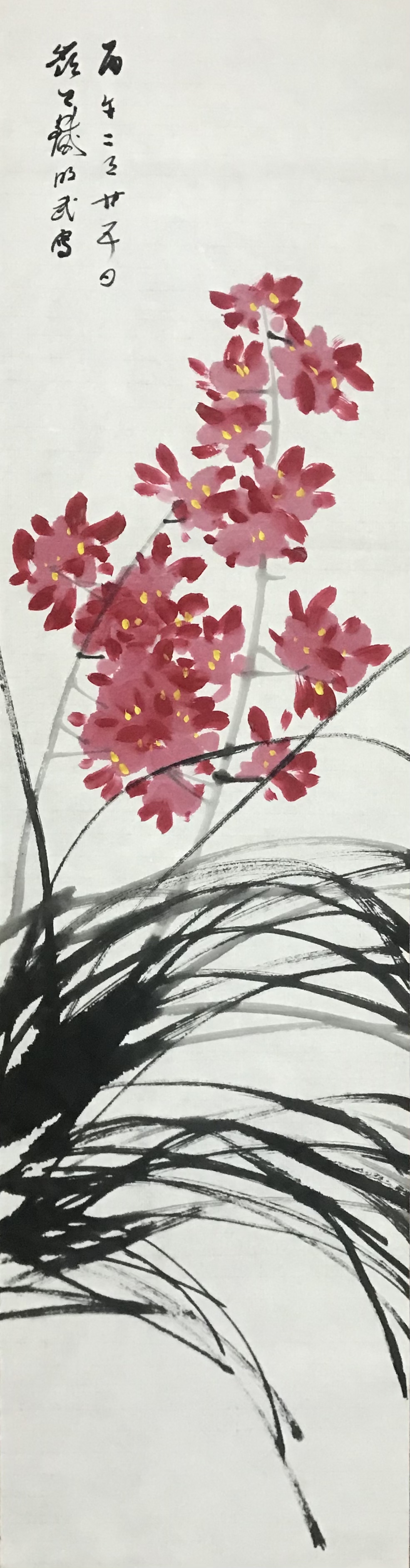 兰花图