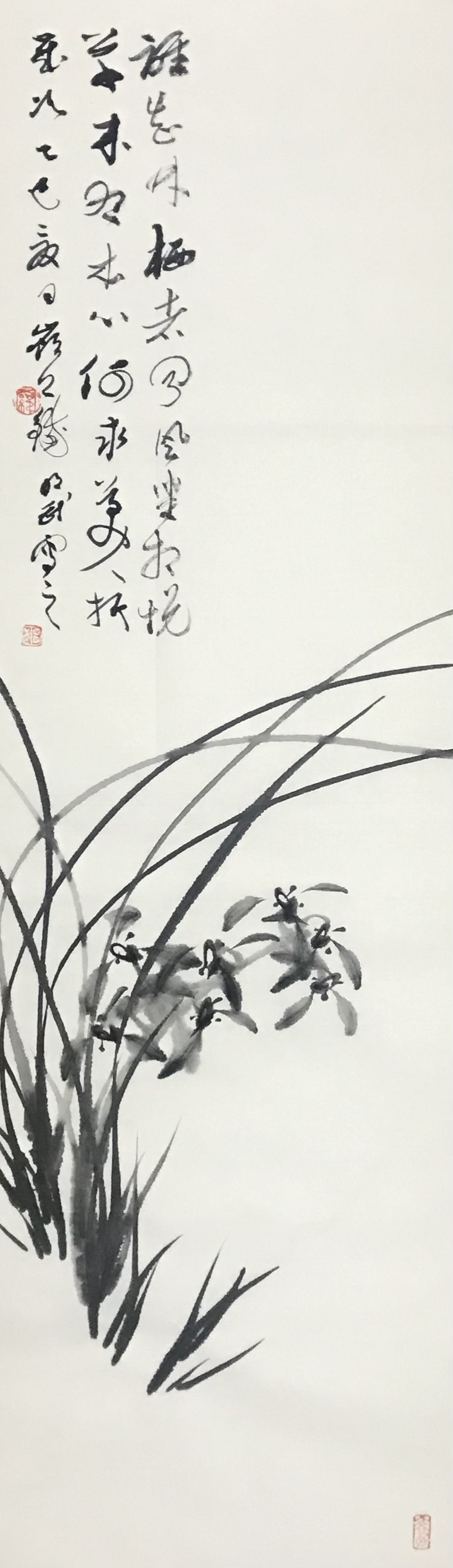 兰花图