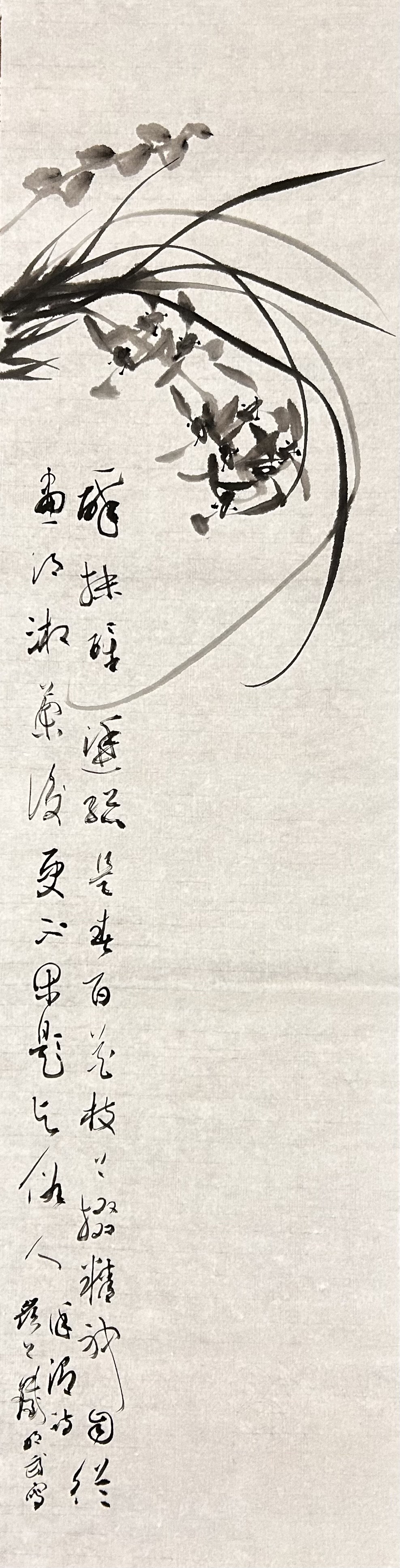 兰花图