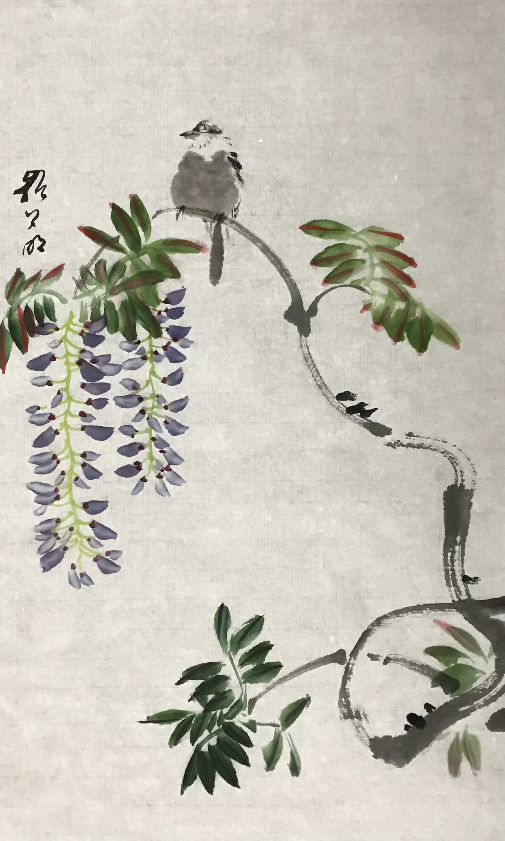 紫藤⼩⻦图