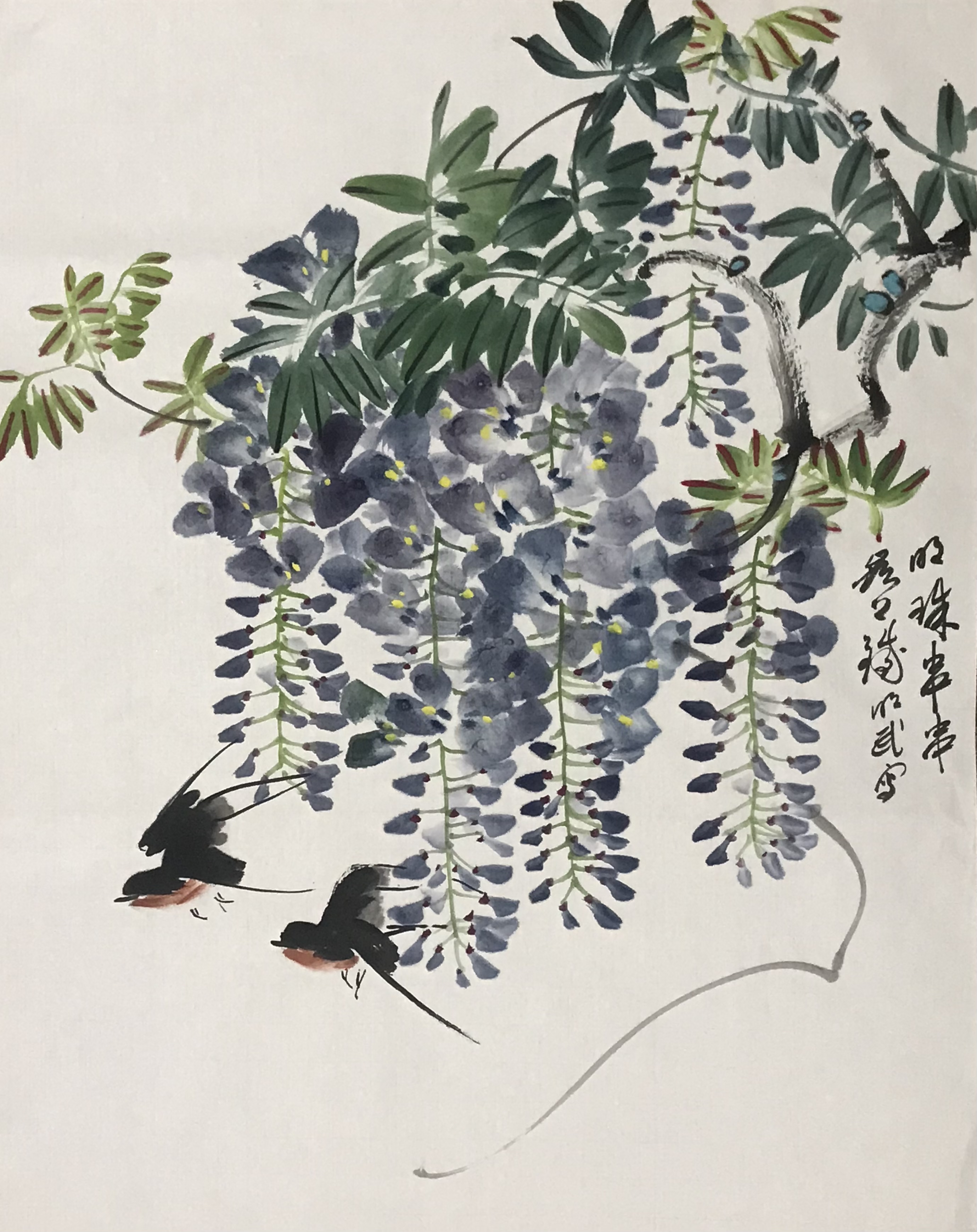 紫藤双燕图