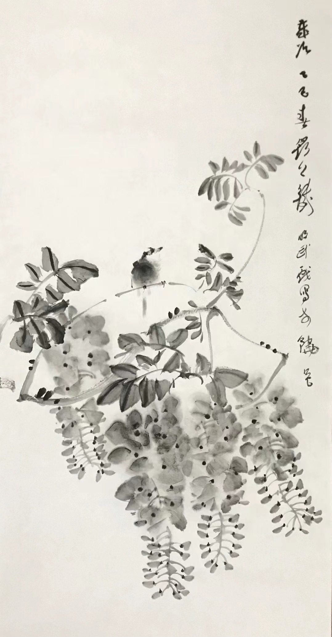 紫藤⼩⻦图