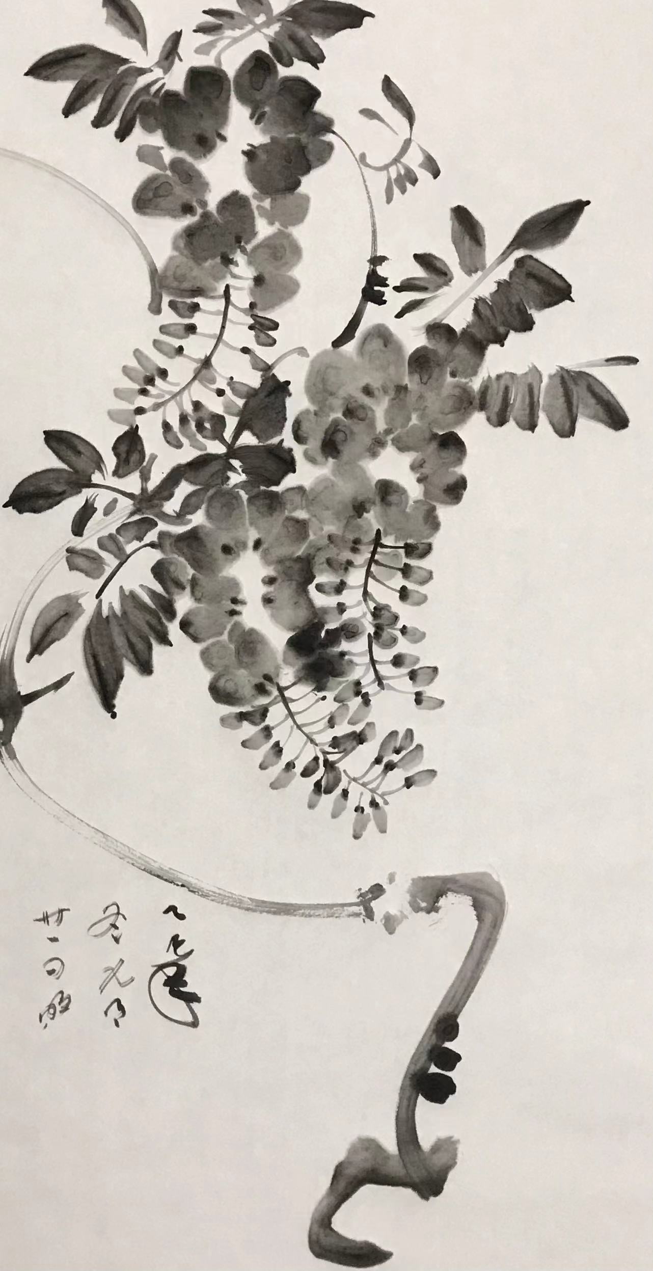 紫藤图
