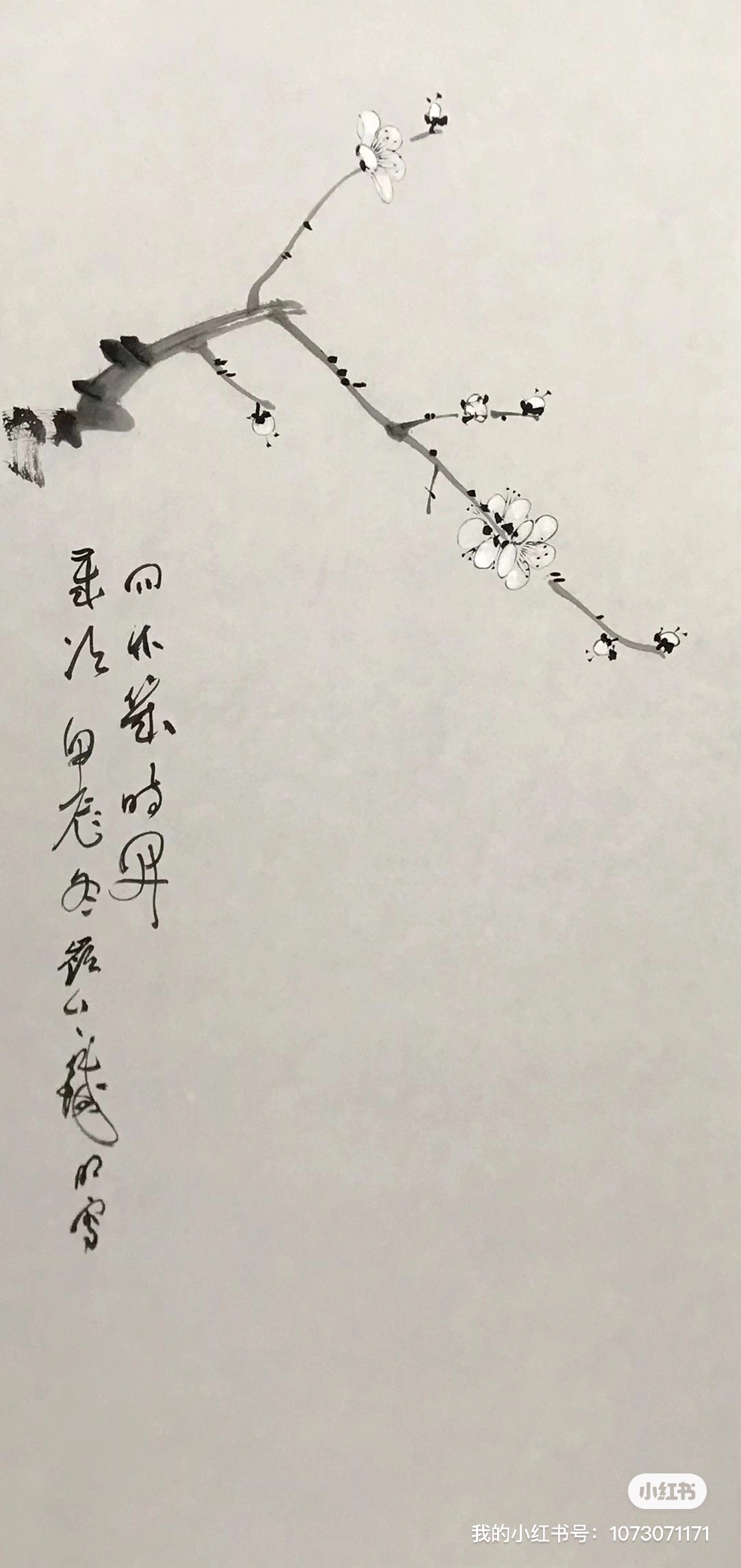 墨梅图