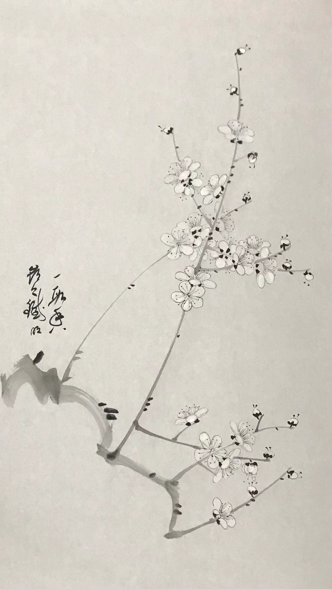 梅花图