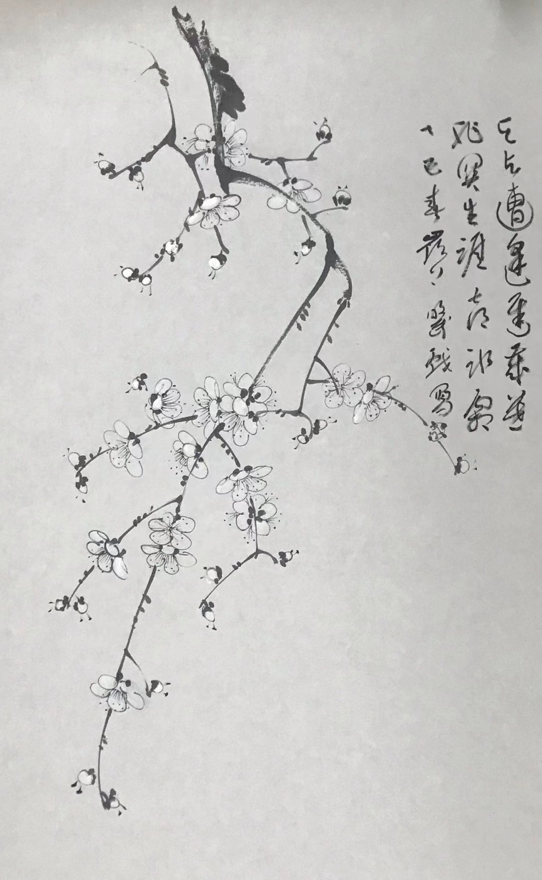 梅花图
