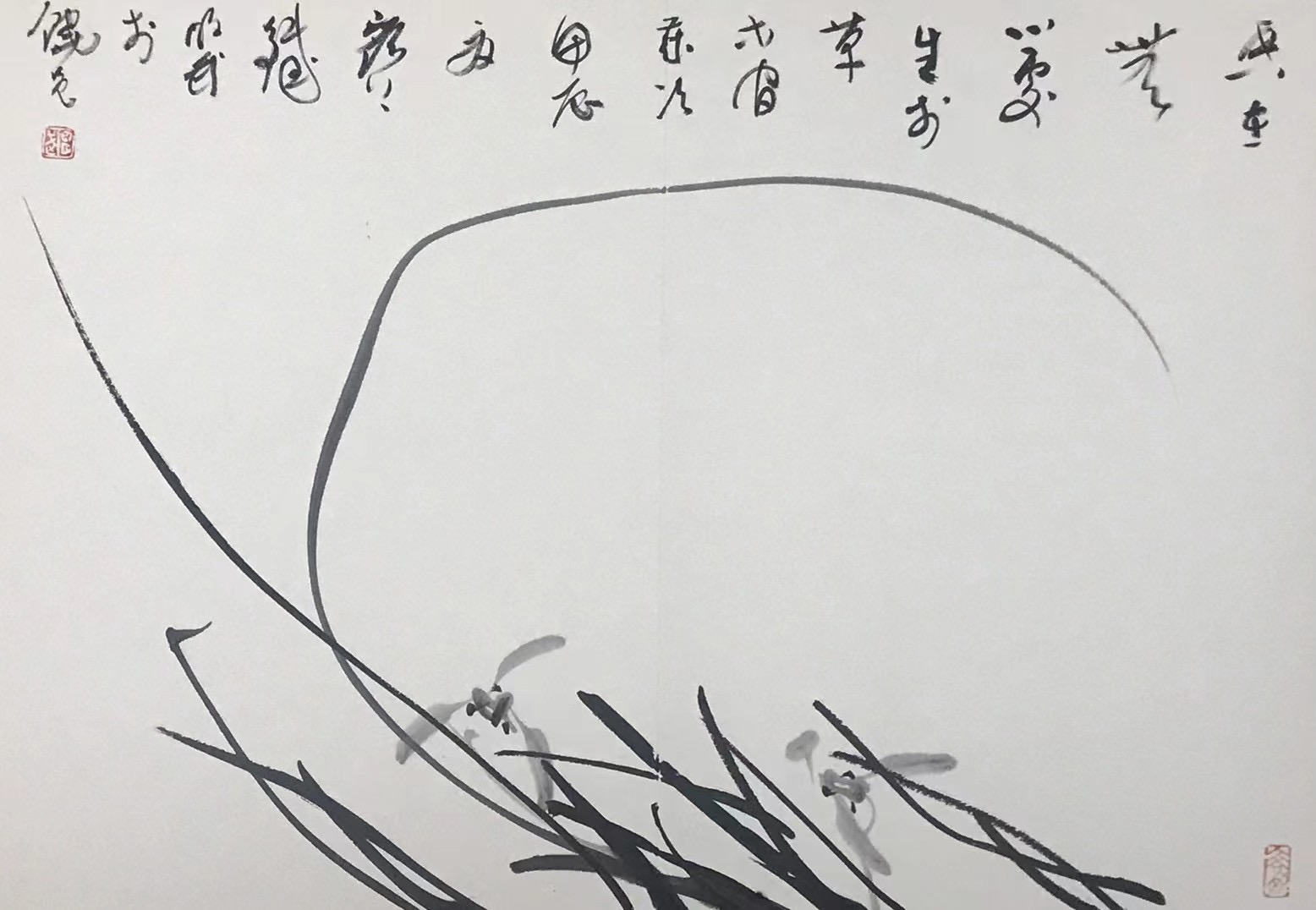 兰花图