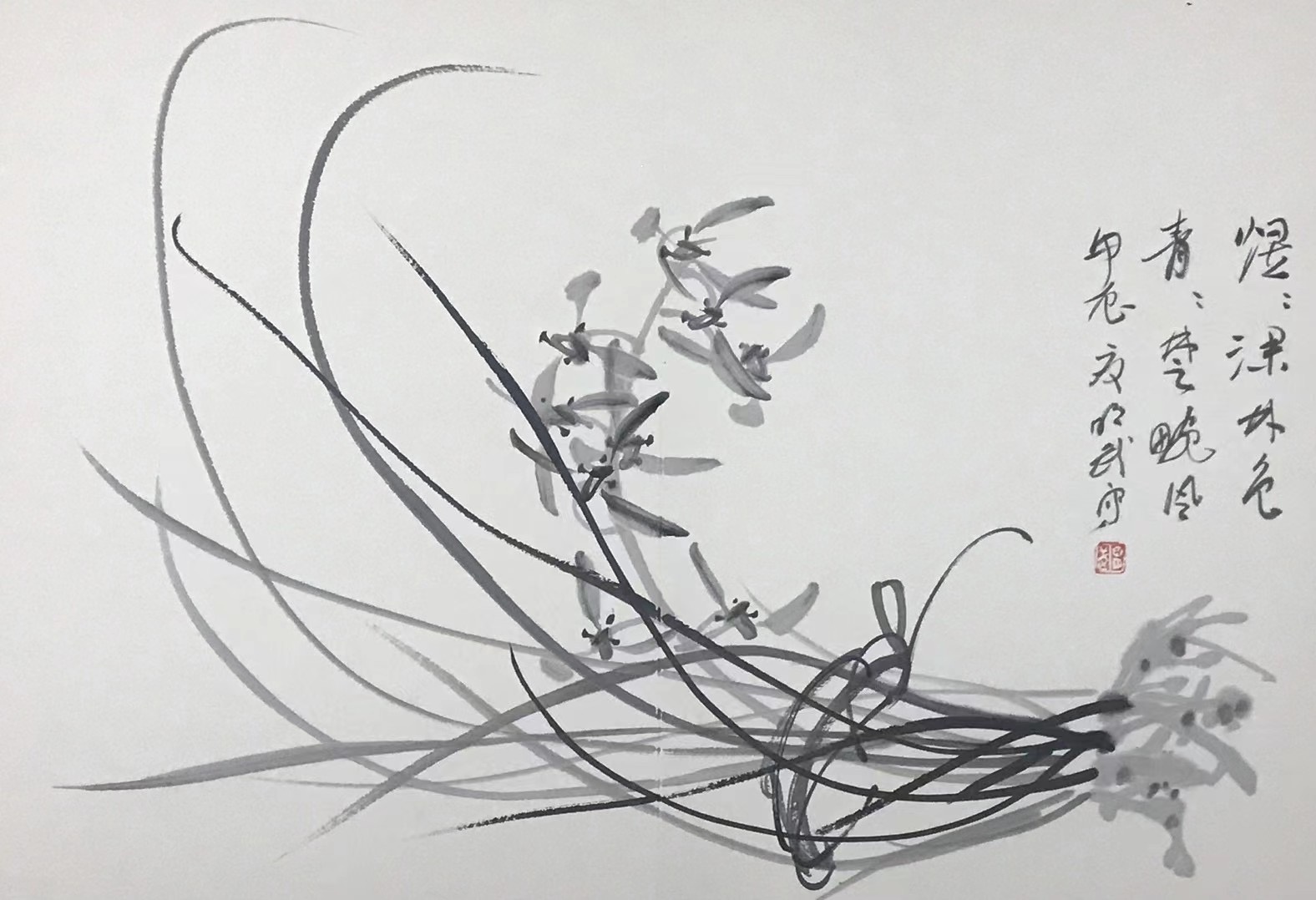 兰花图