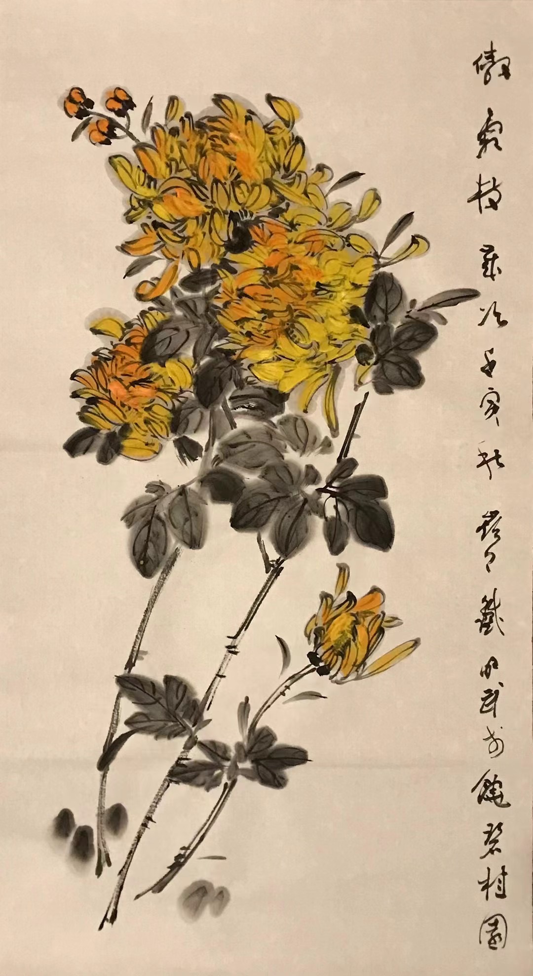 菊花图