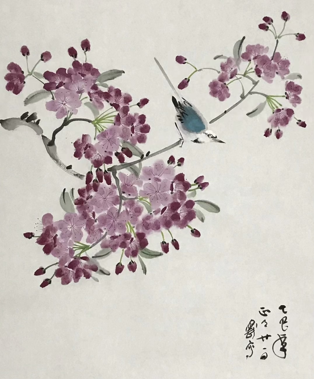 樱花图
