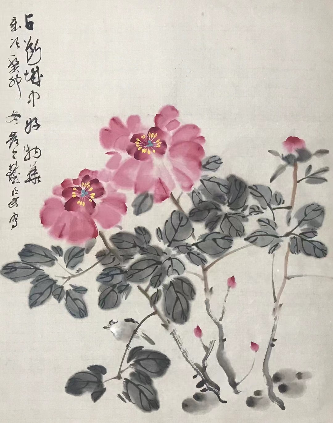 牡丹图