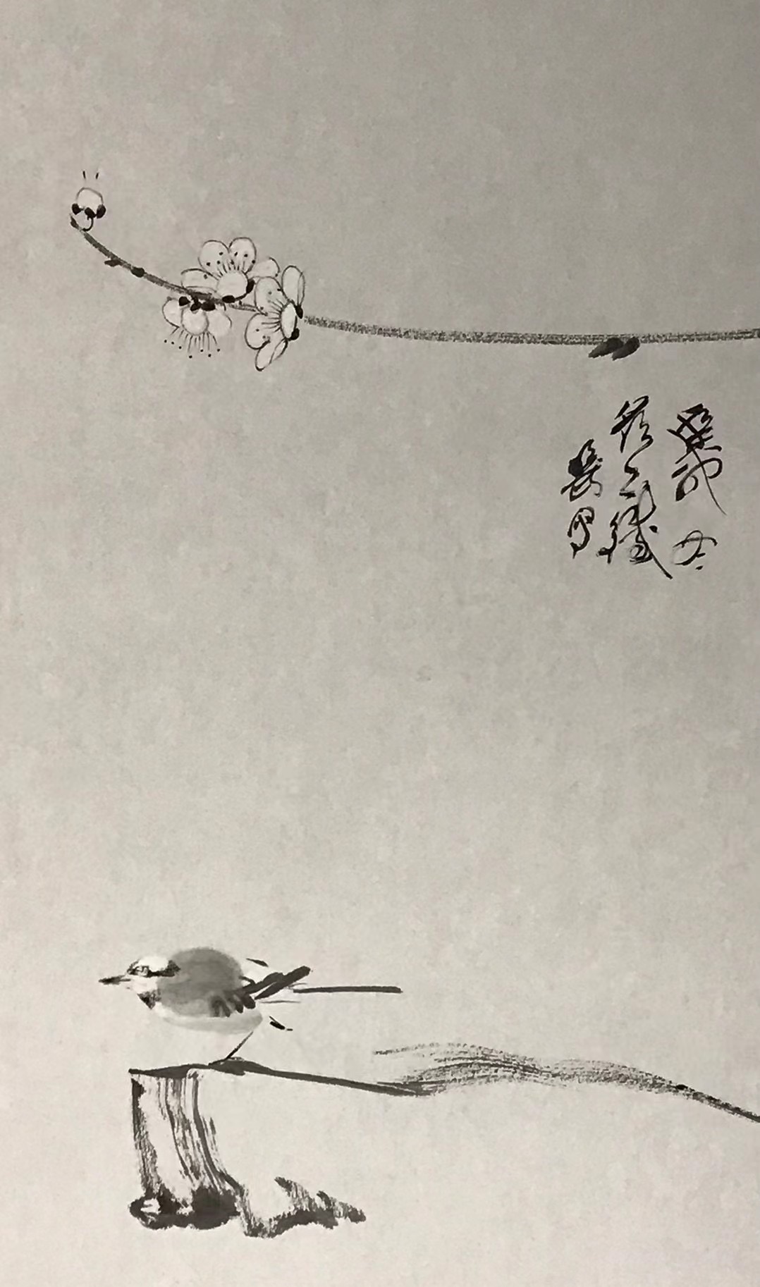 梅花⼩⻦图