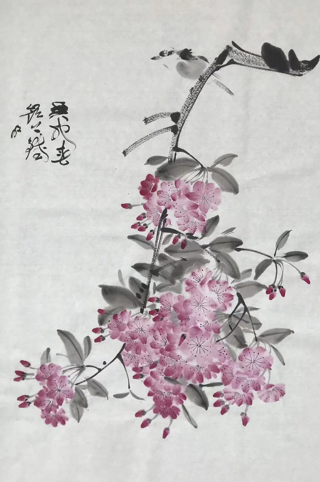 樱花⼩⻦图