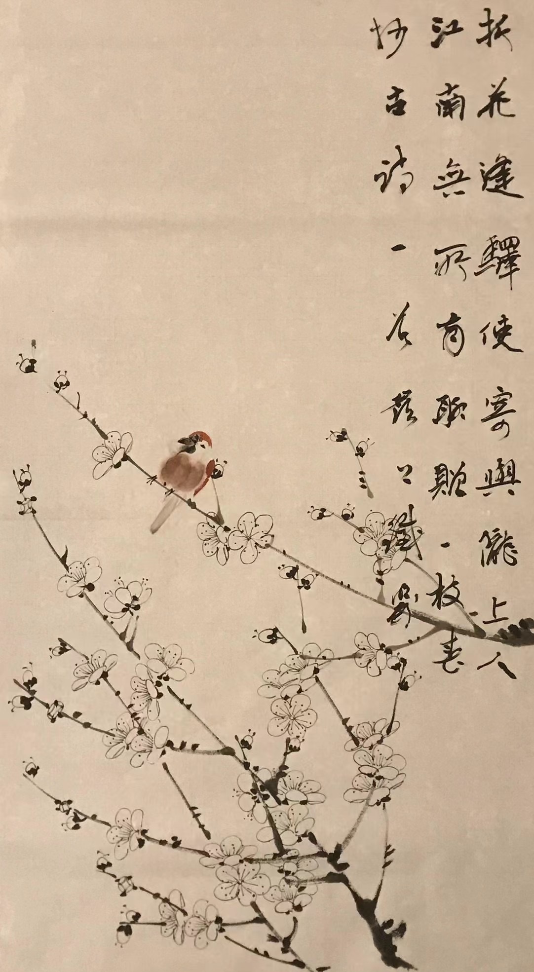 梅花⼩⻦图