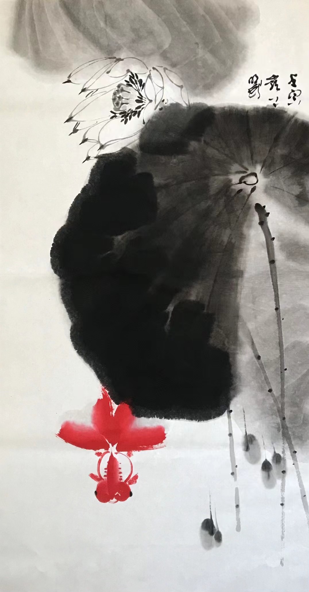荷花⾦⻥图