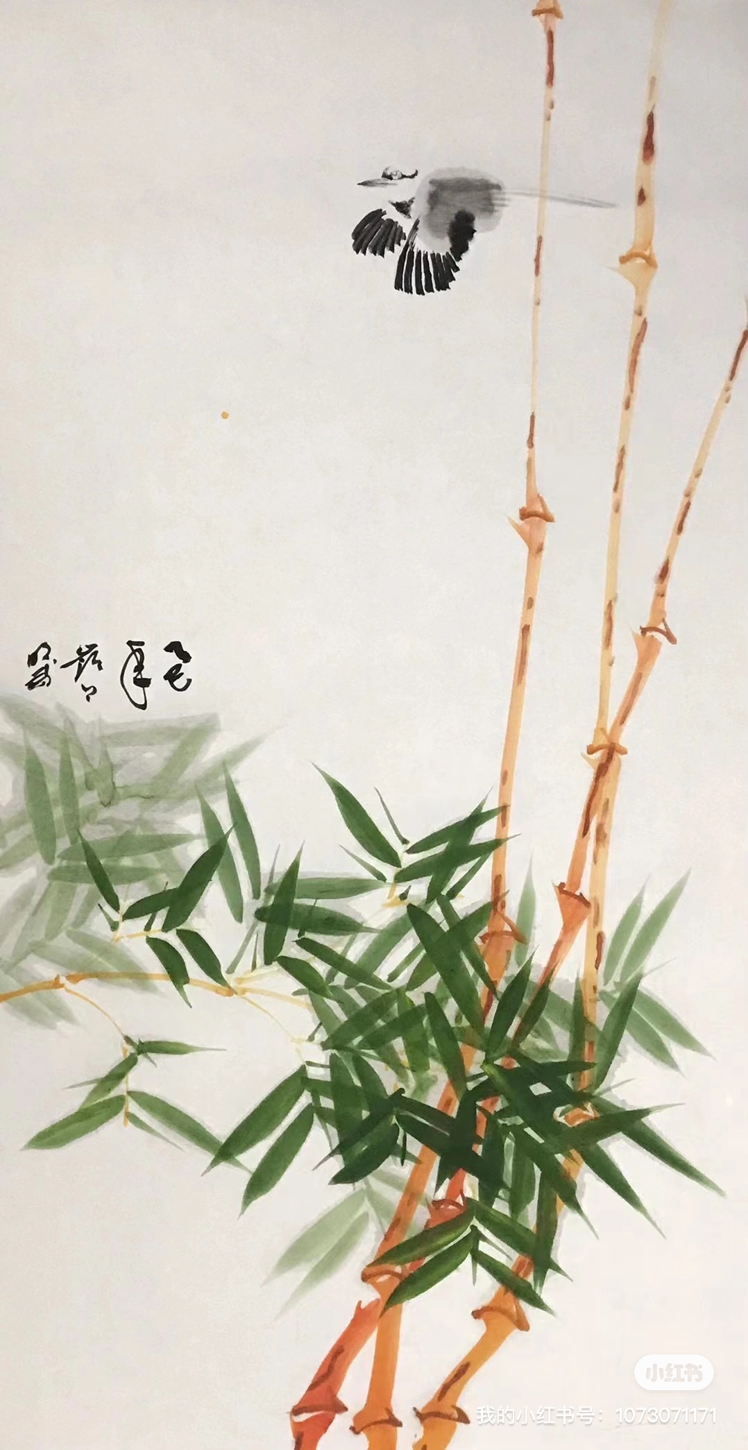 朱德⼩⻦图