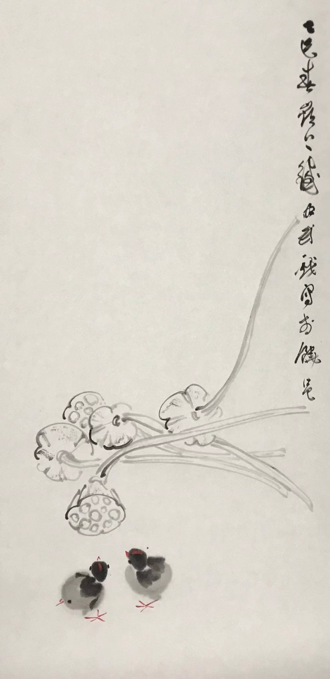 莲蓬⼩鸡图