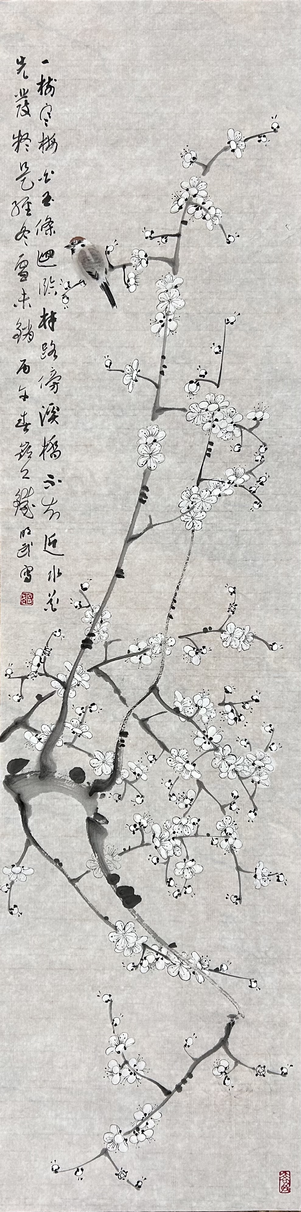 ⽩梅⼩⻦图