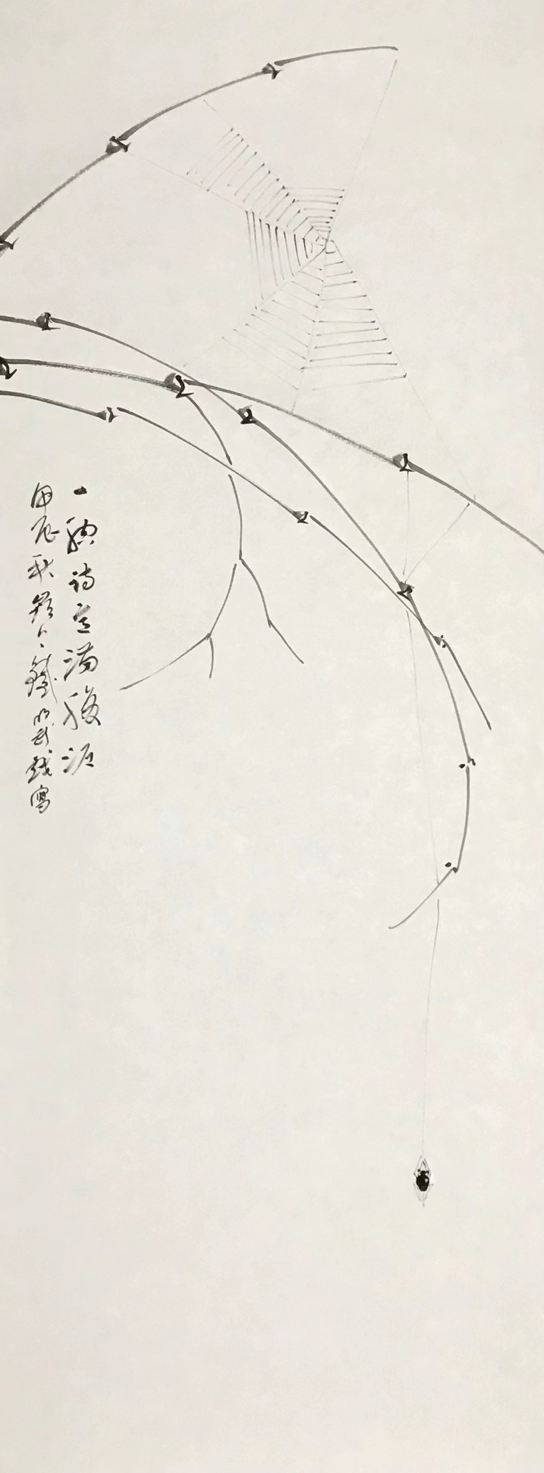 ⽵枝蛛丝图