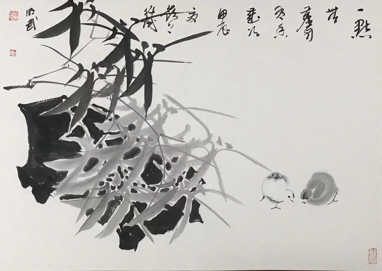 ⽵⽯⼩鸡图