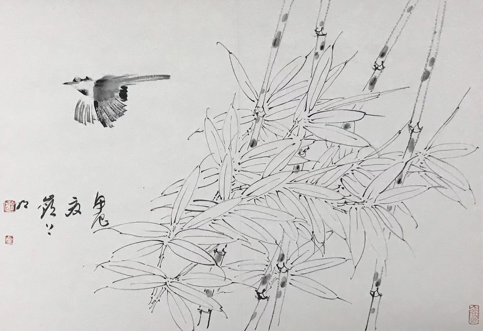斑⽵⼩⻦图