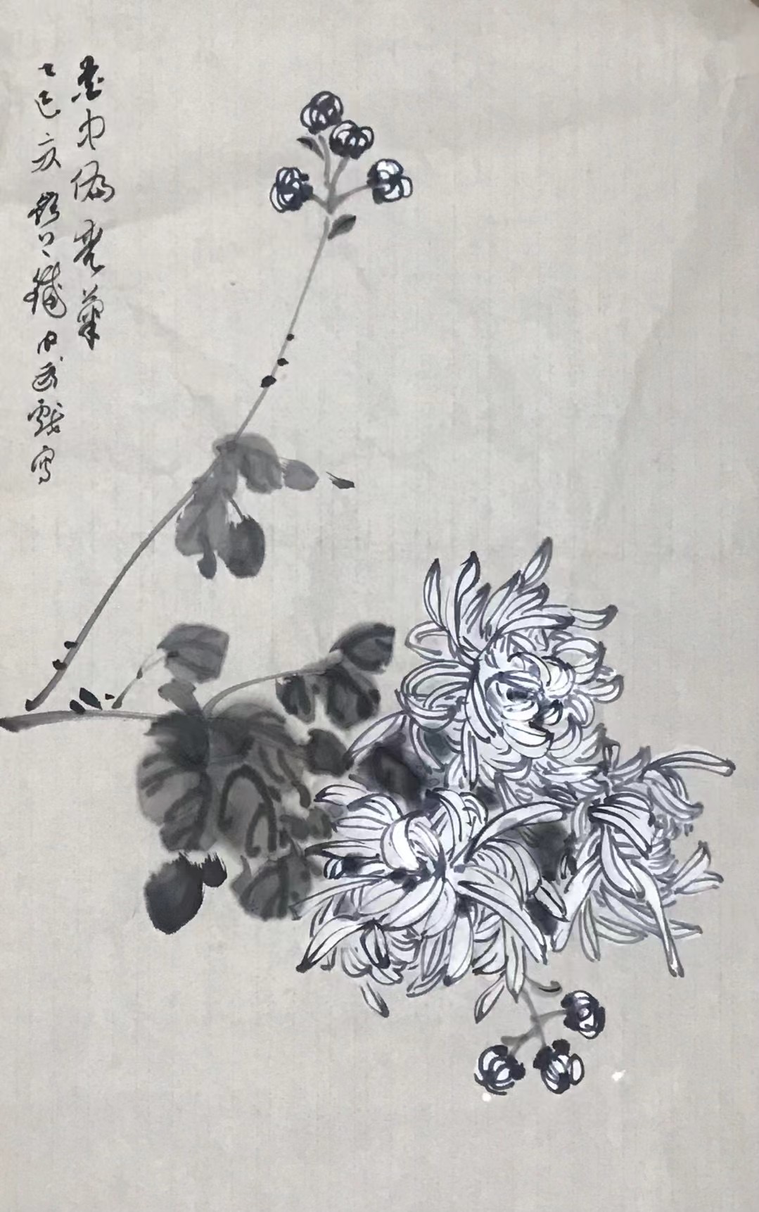 菊花图