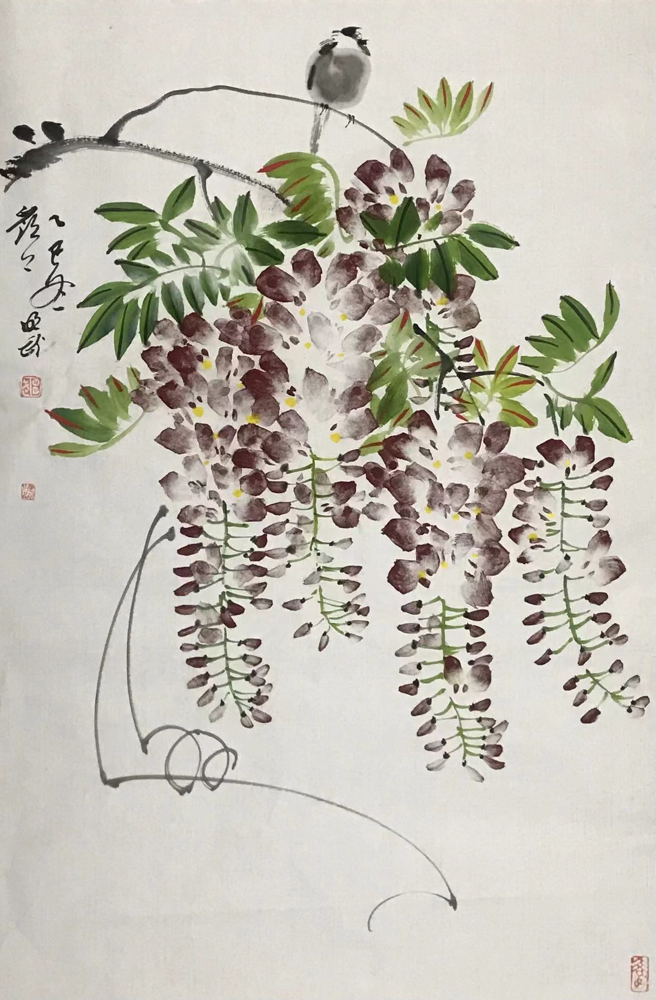 紫藤⼩⻦图
