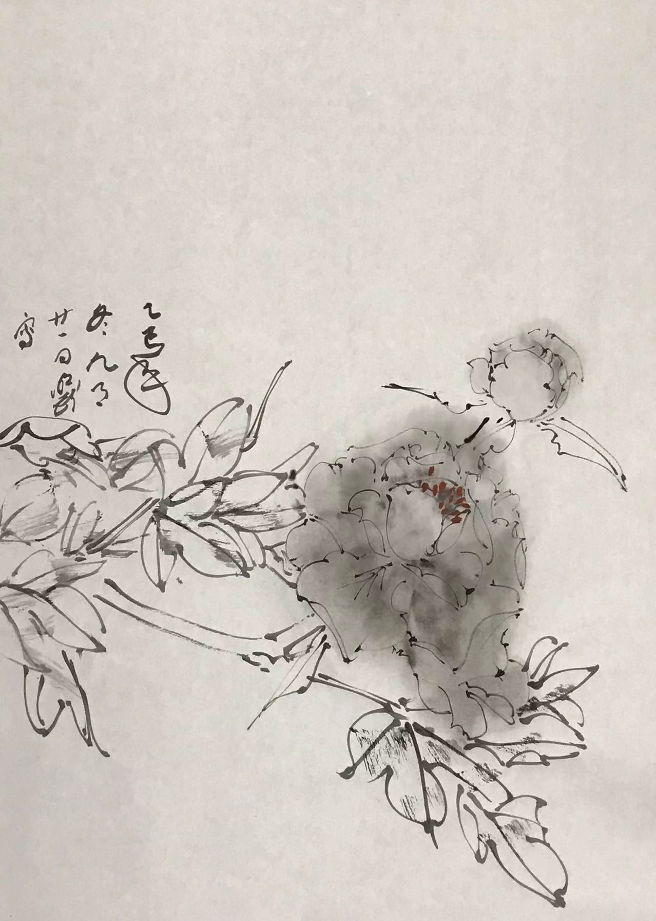 墨牡丹