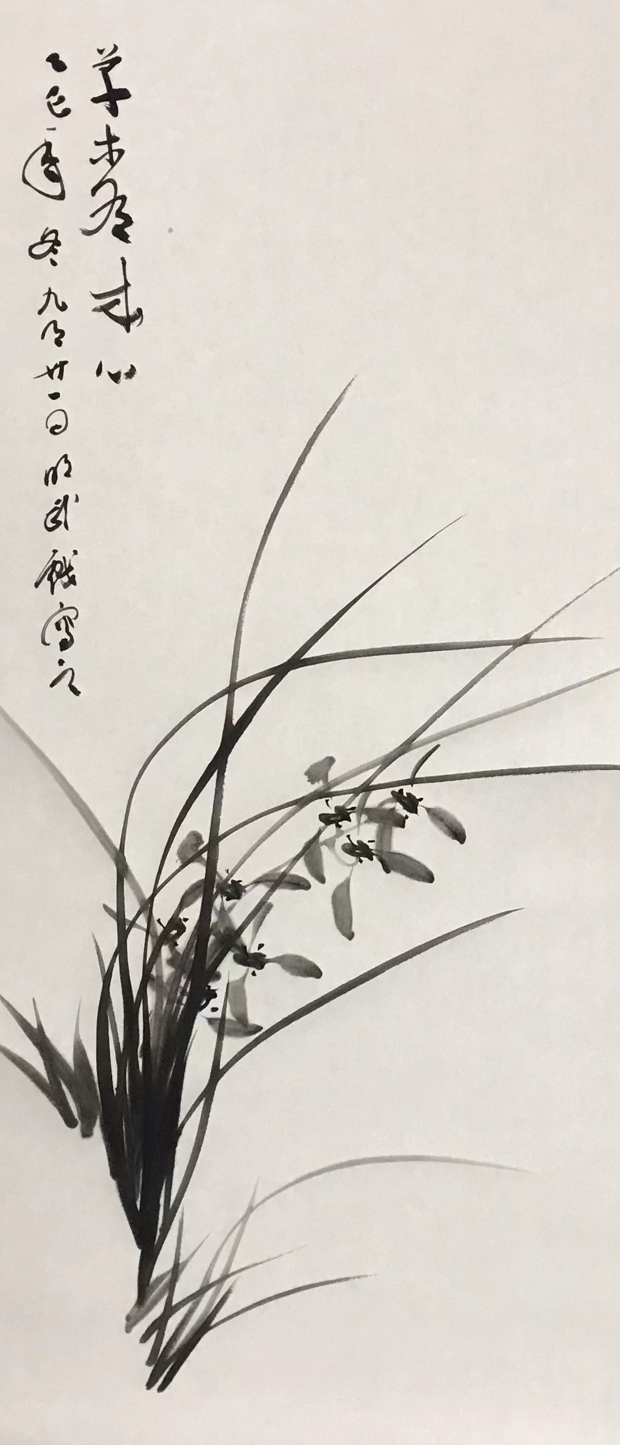兰花图