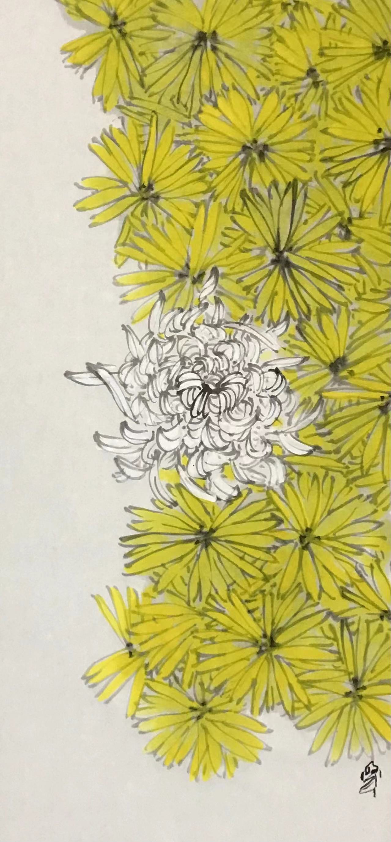 菊花图
