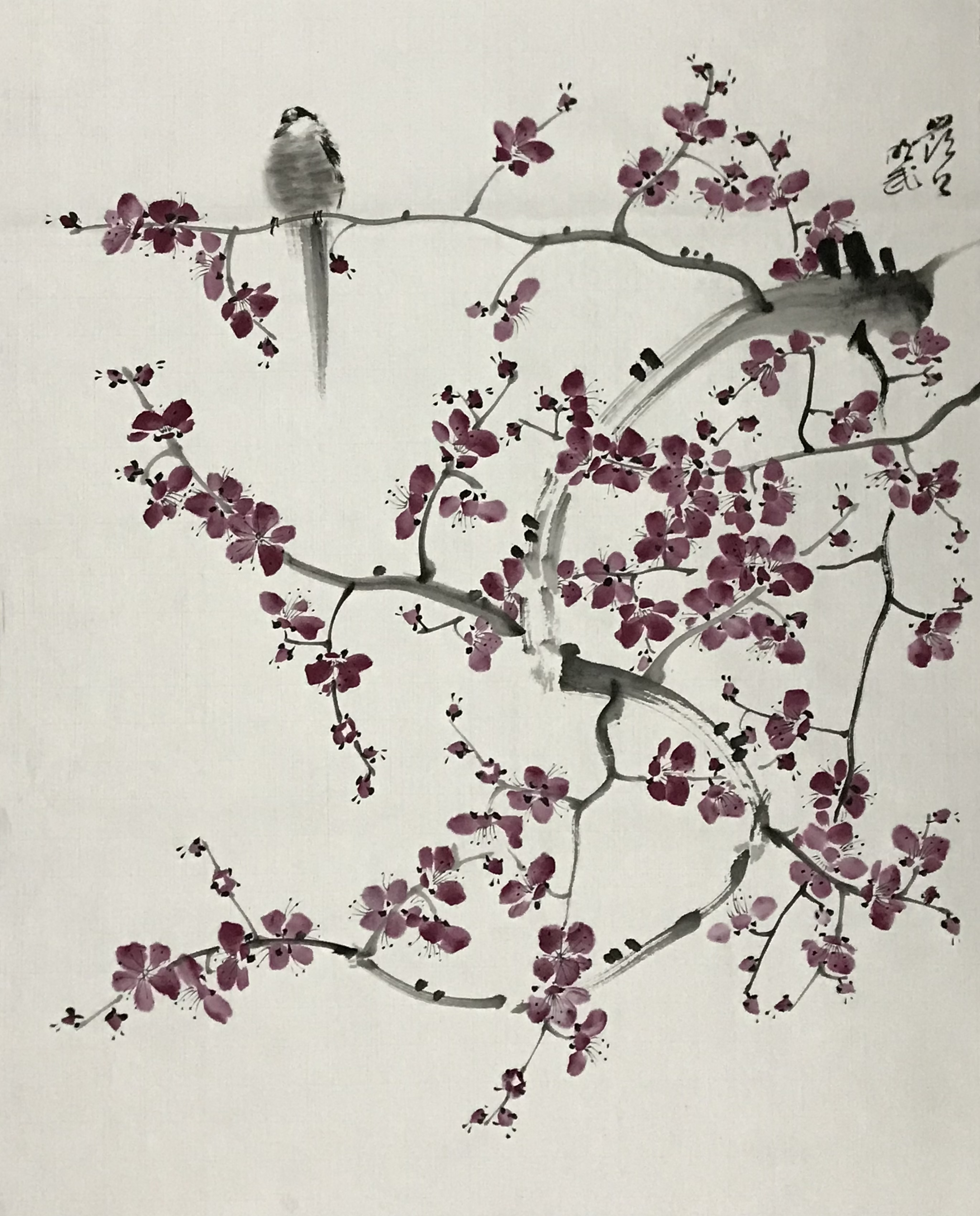 梅花⼩⻦图