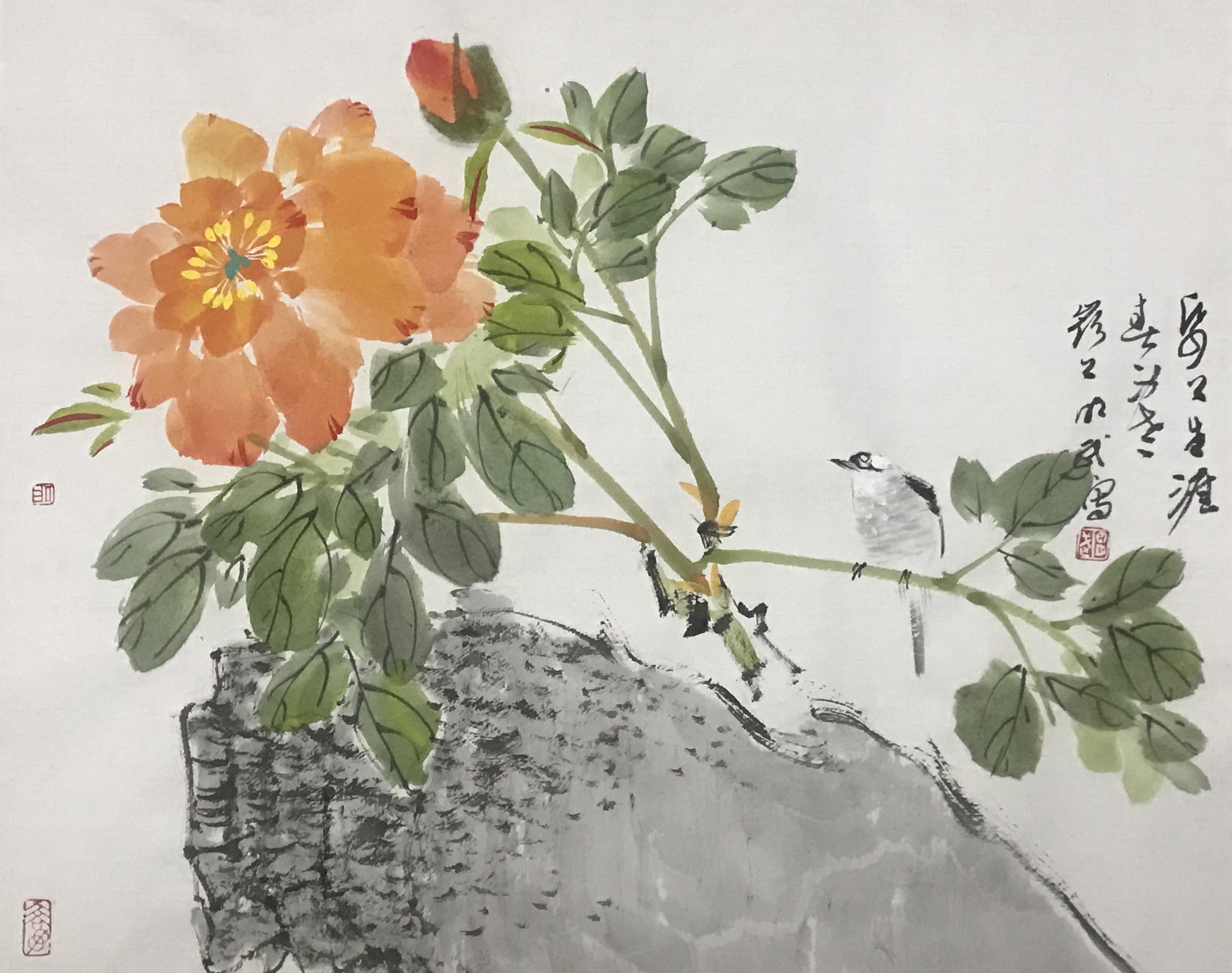 牡丹图