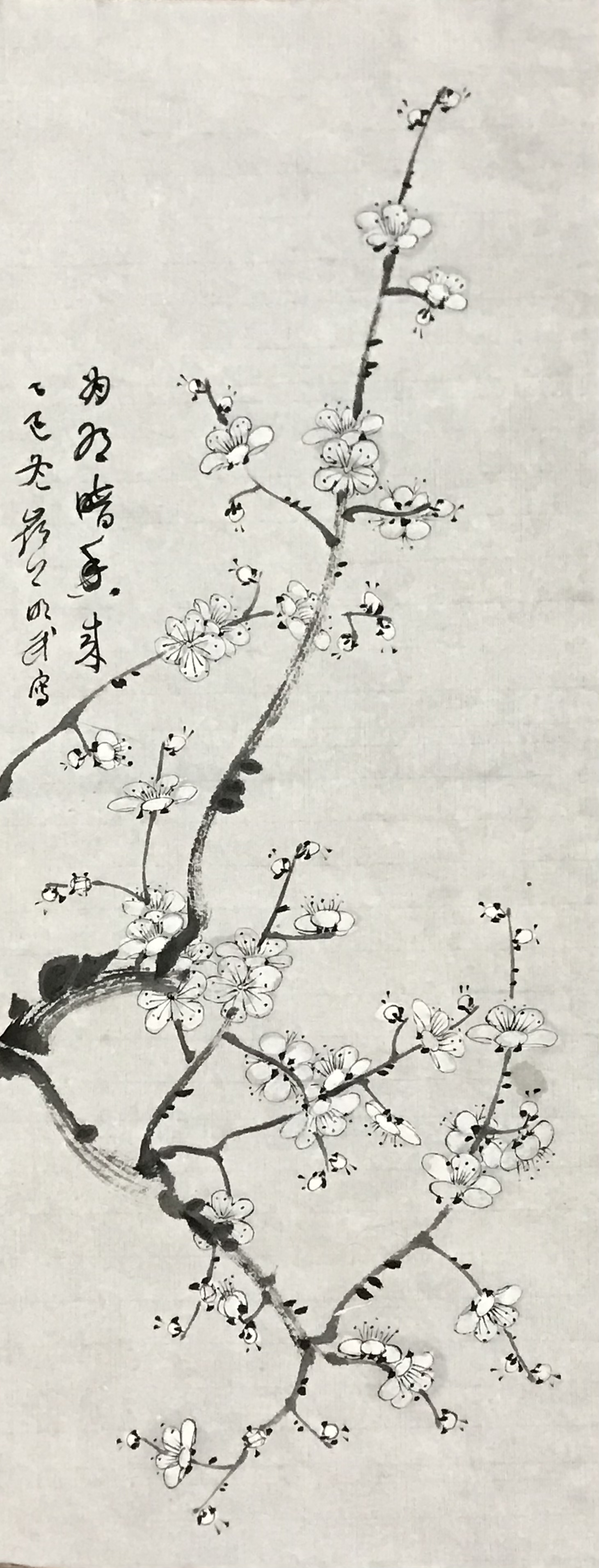 梅花图