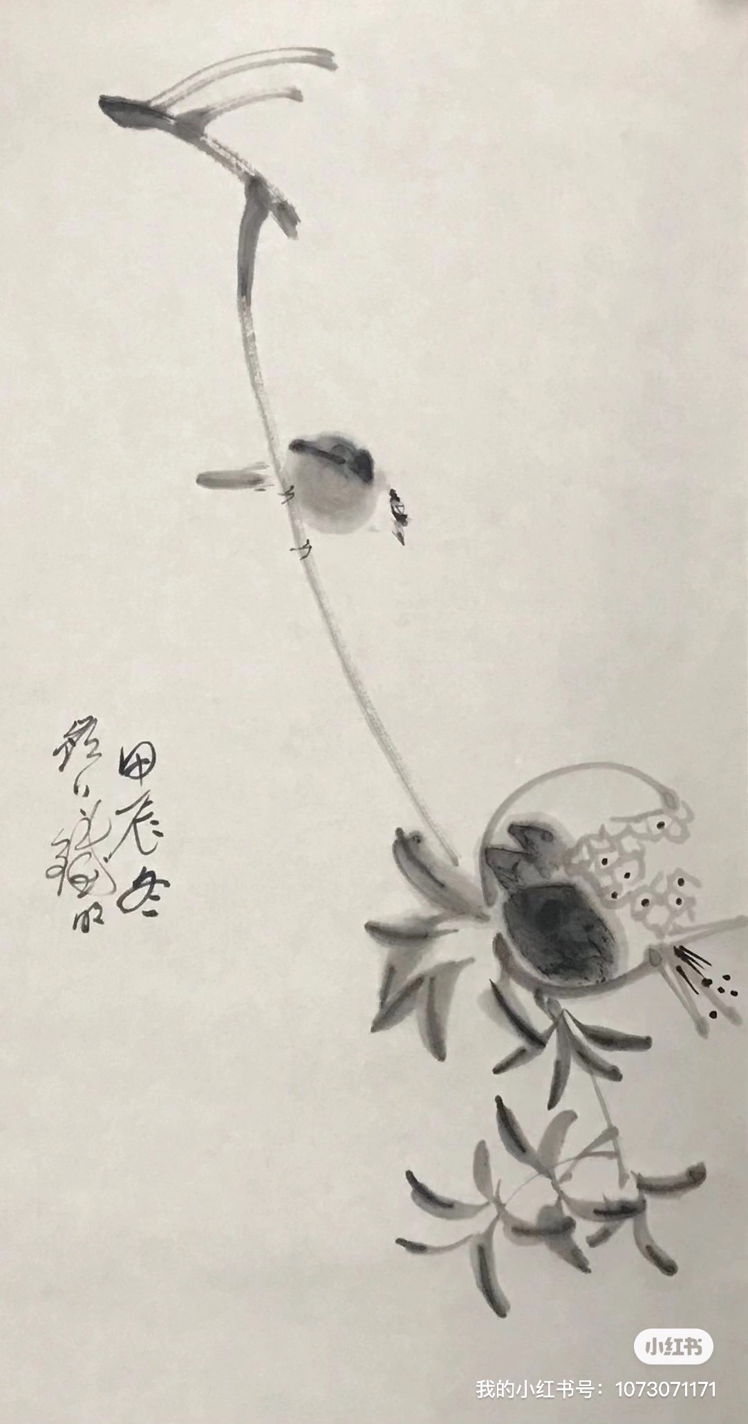 石榴小鸟图