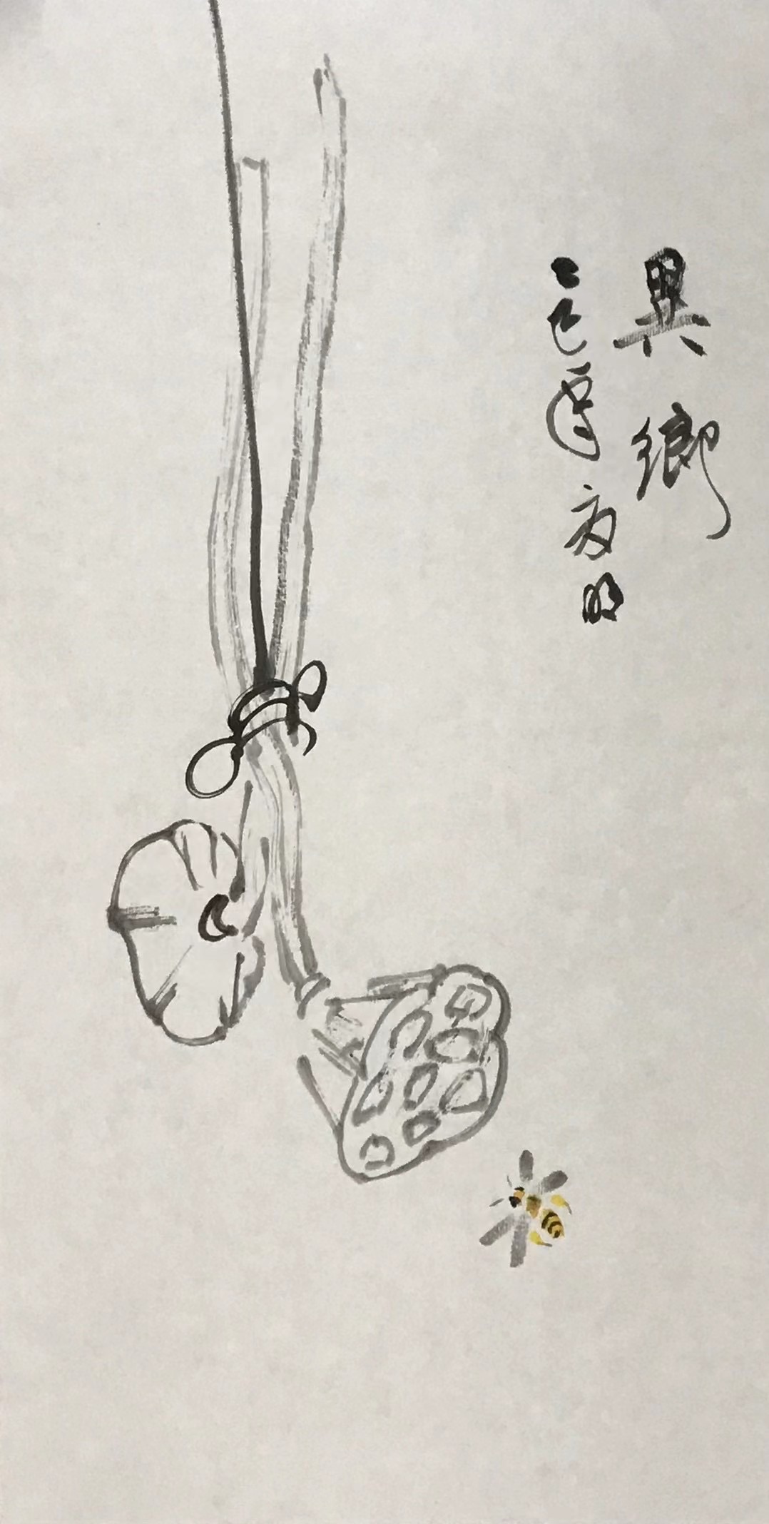 莲蓬蜜蜂图