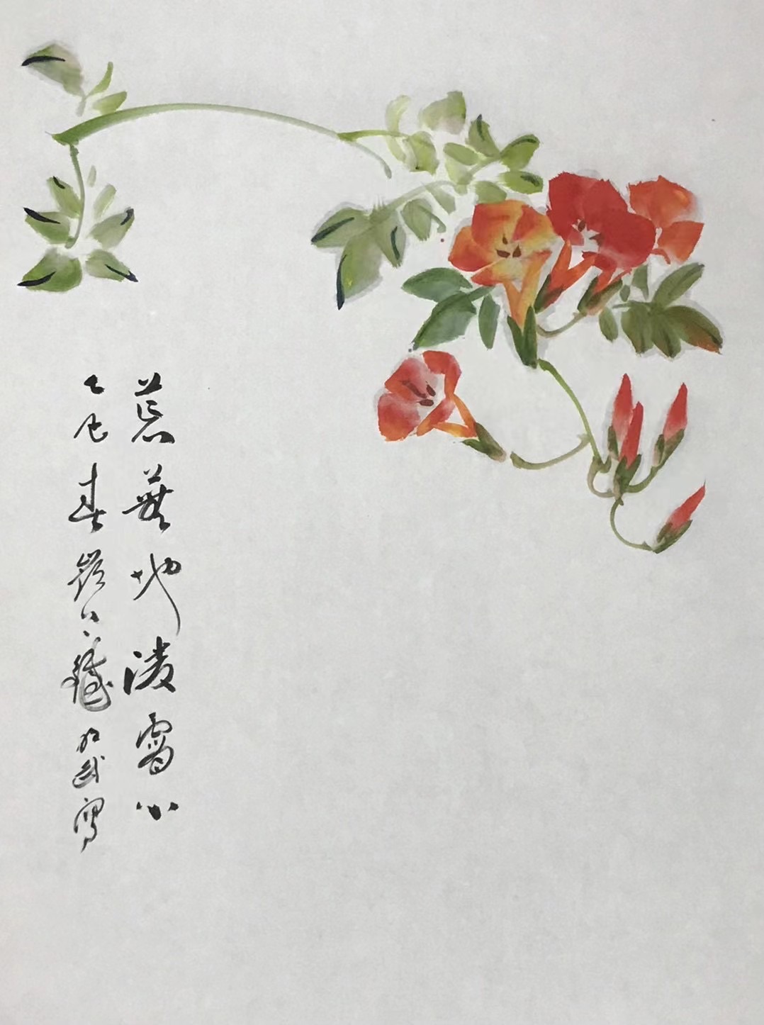 凌霄花