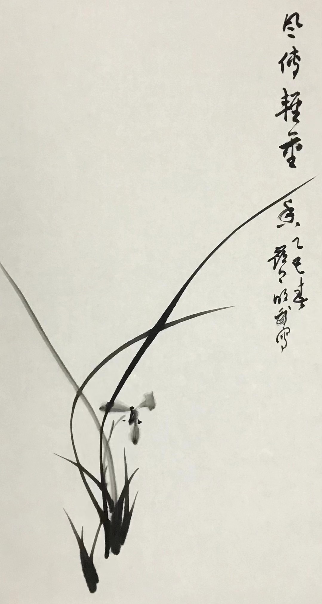 兰花图
