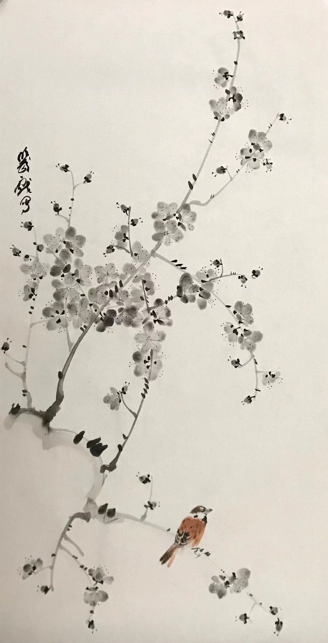 梅花小鸟图