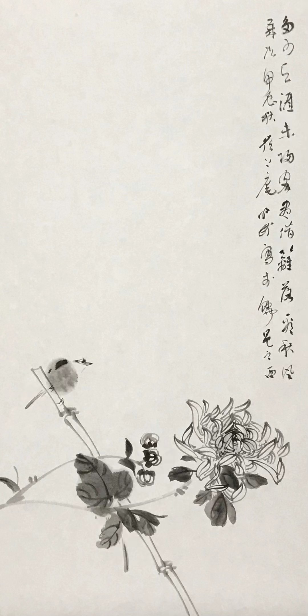 菊花小鸟图
