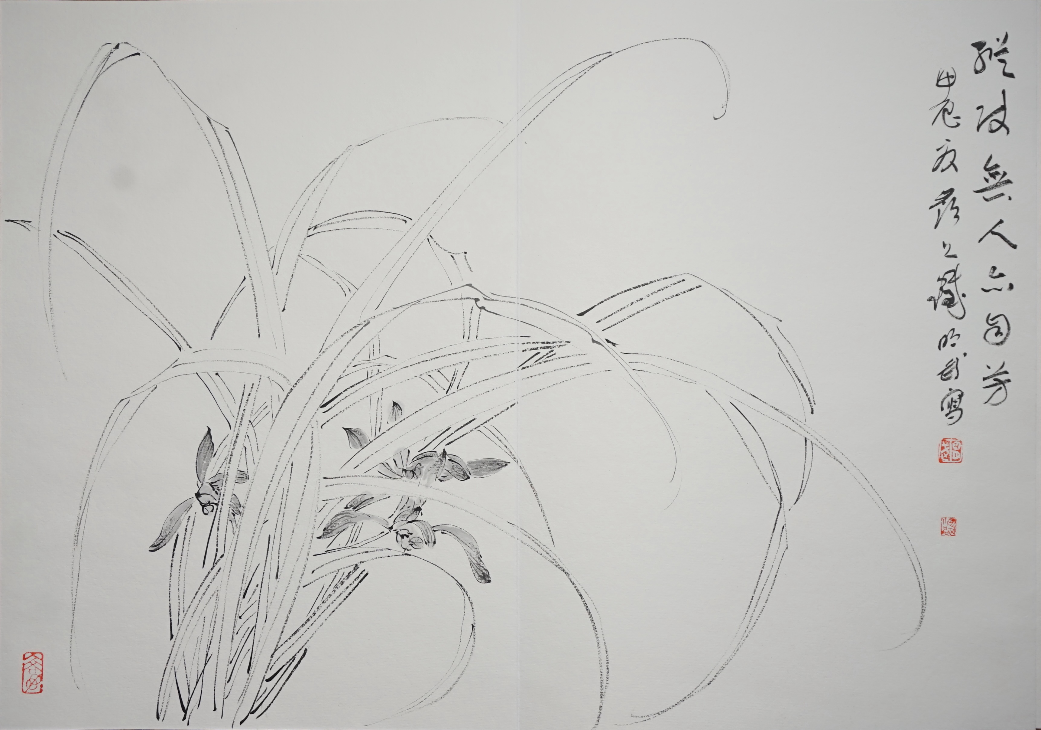 纵使无人亦自芳